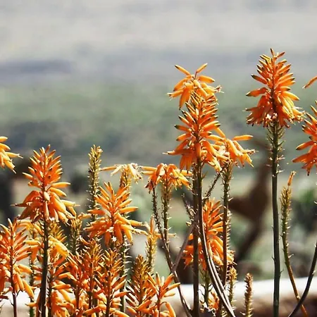 Cortijo El Paraiso